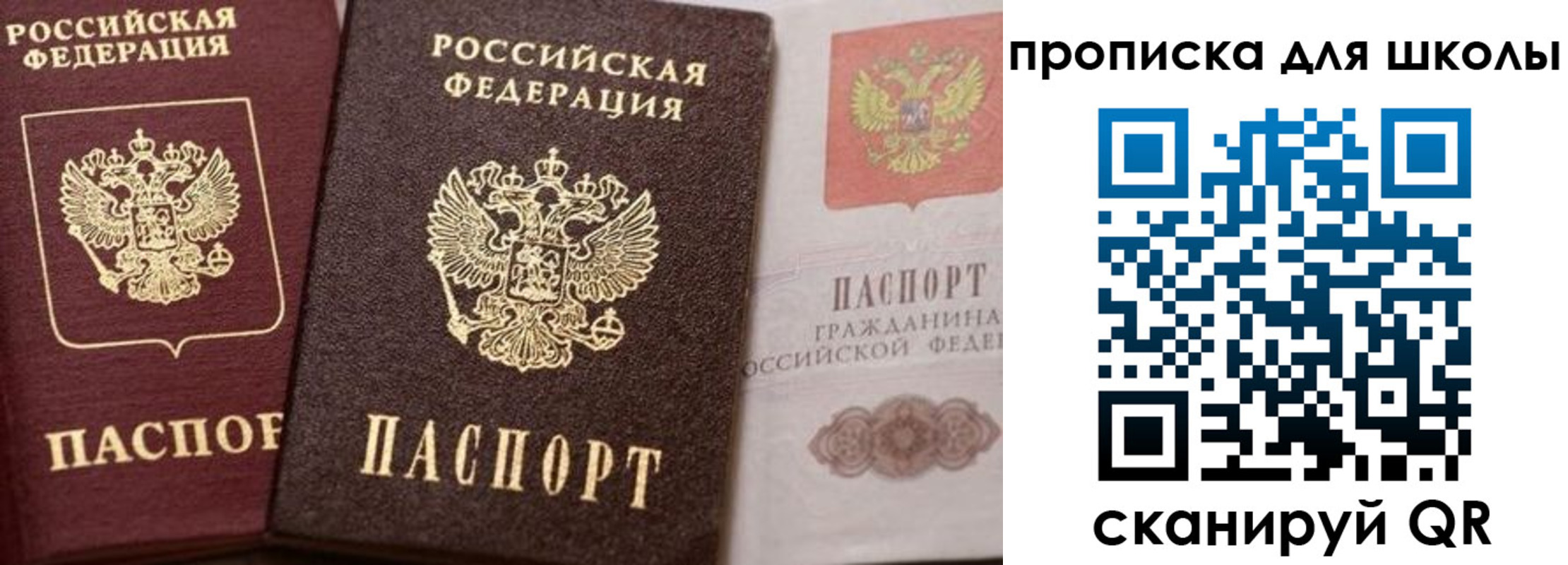 прописка законно в Соколе